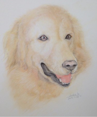 ゴールデンレトリバーそらくん☆誕生日プレゼント