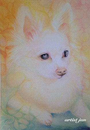 ミルキーちゃん♪ご両親様へのプレゼント